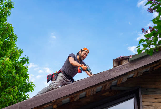 Best Roof Ventilation Installation  in South Point, OH