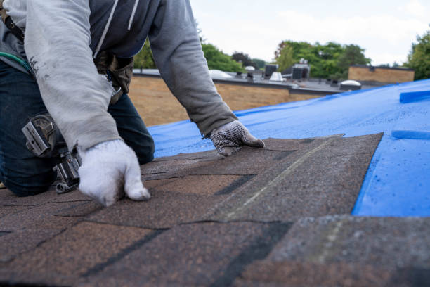 Best Chimney Flashing Repair  in South Point, OH